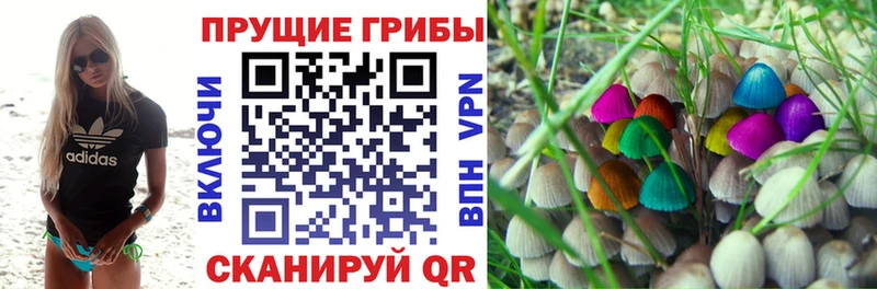 Псилоцибиновые грибы ЛСД  где можно купить   Светогорск 
