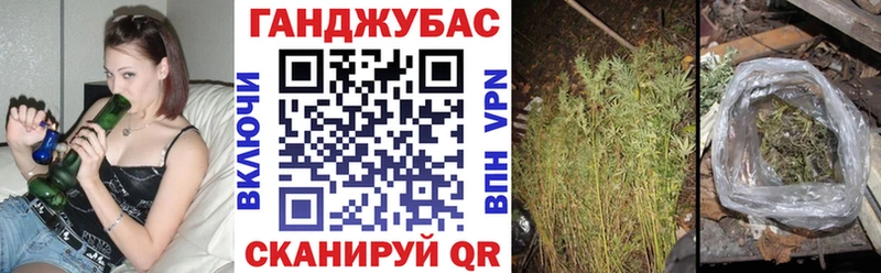 Конопля OG Kush  как найти наркотики  Светогорск 